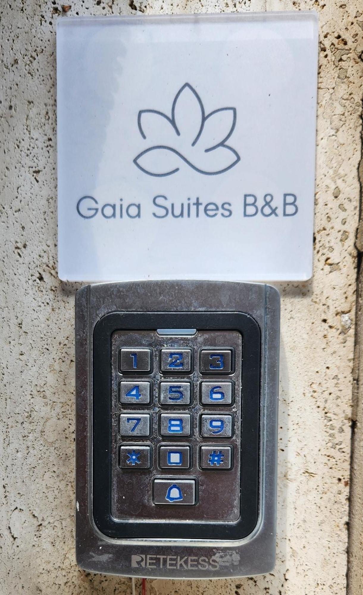 تورينو Gaia Suites - A Due Passi Dal Centro - Parcheggio Privato المظهر الخارجي الصورة